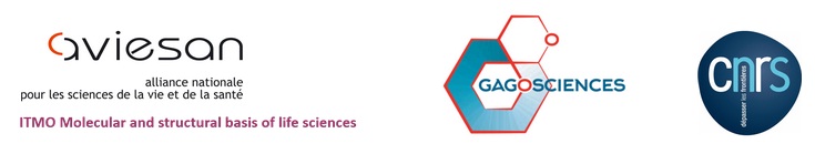 Logos GDR Gagosciences - Aviesan - ITMO BMSV - CNRS